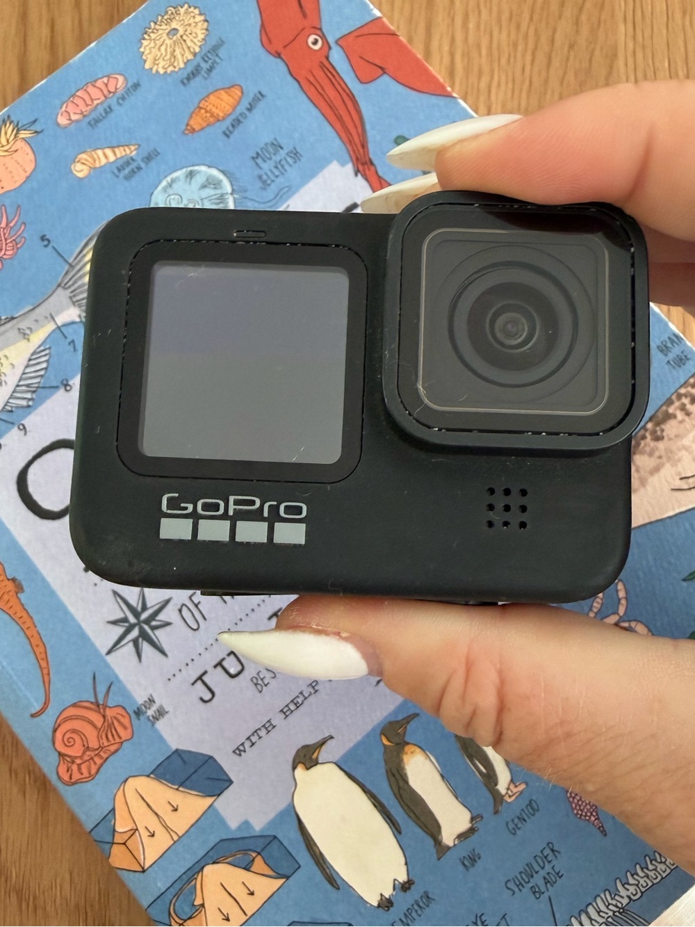 GoPro HERO9 Black – Camera Only (Front Screen Not Working)
